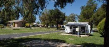 Fossicker Caravan Park Glen Innes Esterno foto