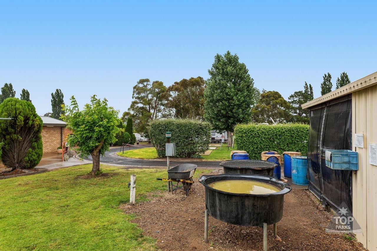 Fossicker Caravan Park Glen Innes Esterno foto